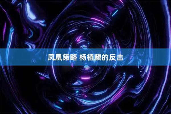 凤凰策略 杨植麟的反击