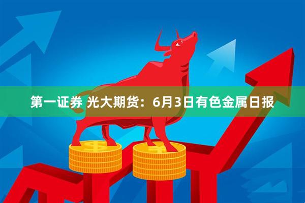 第一证券 光大期货：6月3日有色金属日报