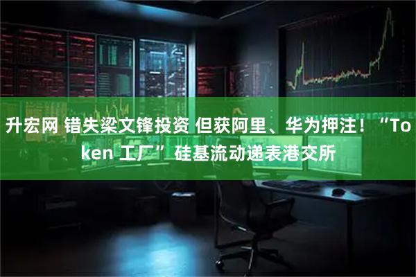 升宏网 错失梁文锋投资 但获阿里、华为押注！“Token 工厂” 硅基流动递表港交所